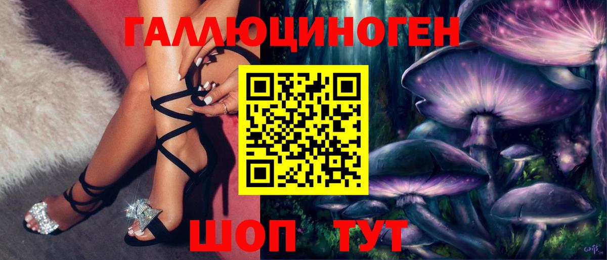даркнет сайт  Галлюциногенные грибы ЛСД  Псилоцибиновые грибы Psilocybe  Вход с VPN  Тимашёвск 